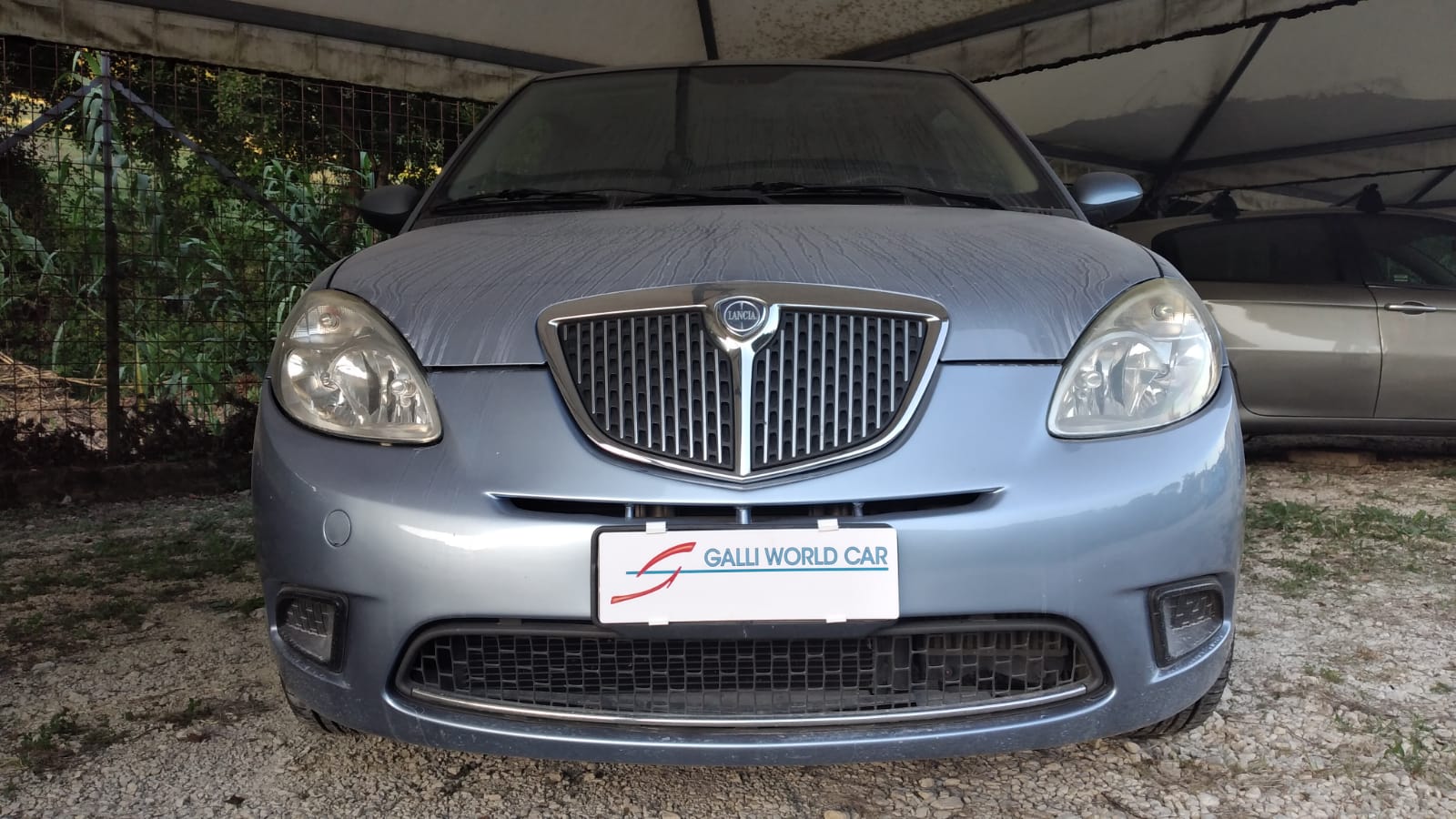 GALLI AUTO COMMERCIALE GALLI S.R.L.