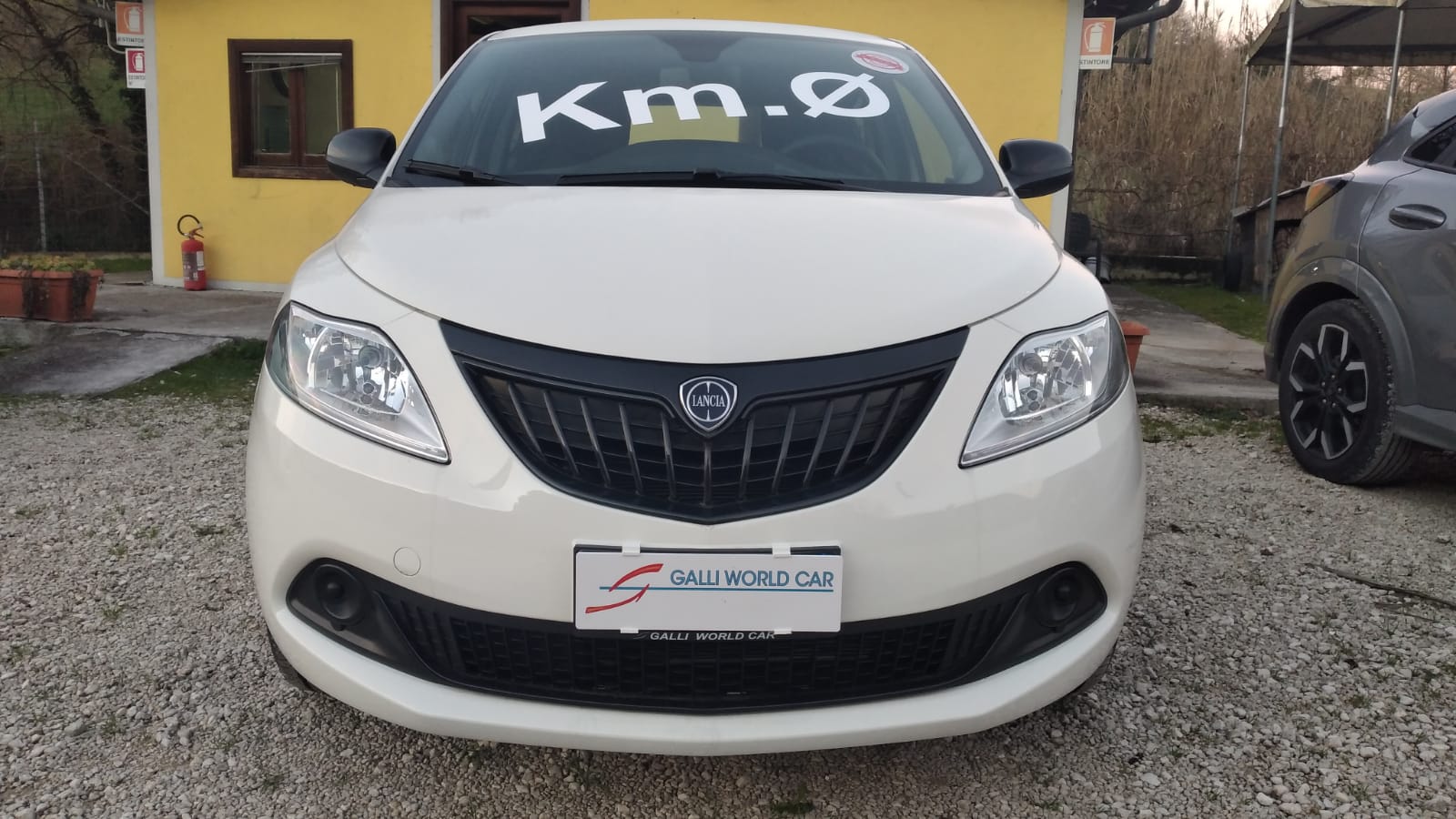 GALLI AUTO COMMERCIALE GALLI S.R.L.